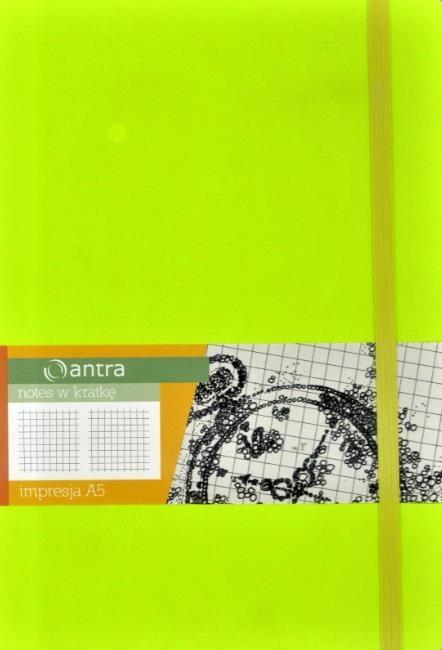 Notes A5 Kratka Impresja Limonka ANTRA, Antra