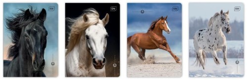 Zeszyt A5/16K 3kol linia UV Wild Horses (20szt)