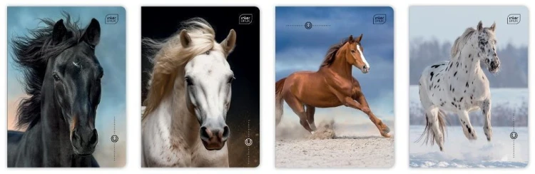 Zeszyt A5/16K 3kol linia UV Wild Horses (20szt)