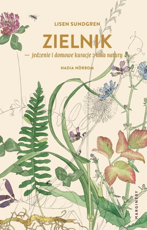Zielnik, Lisen Sundgren