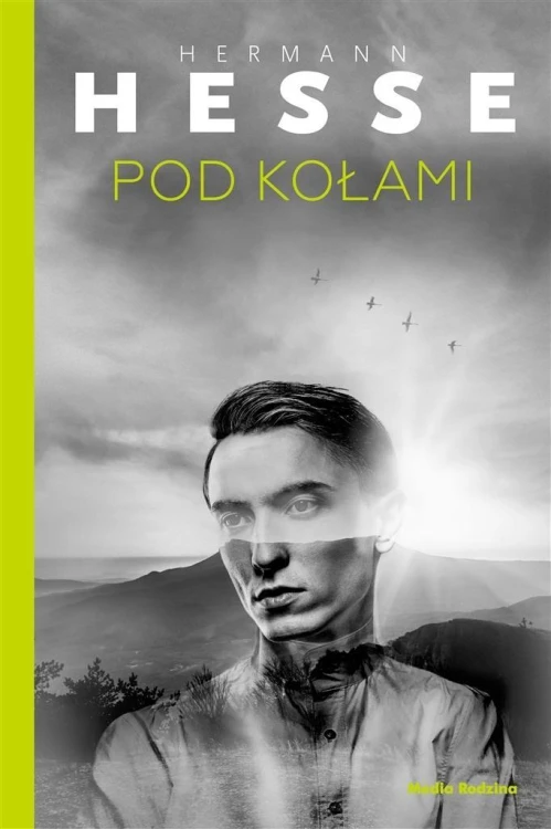 Pod kołami, Hermann Hesse