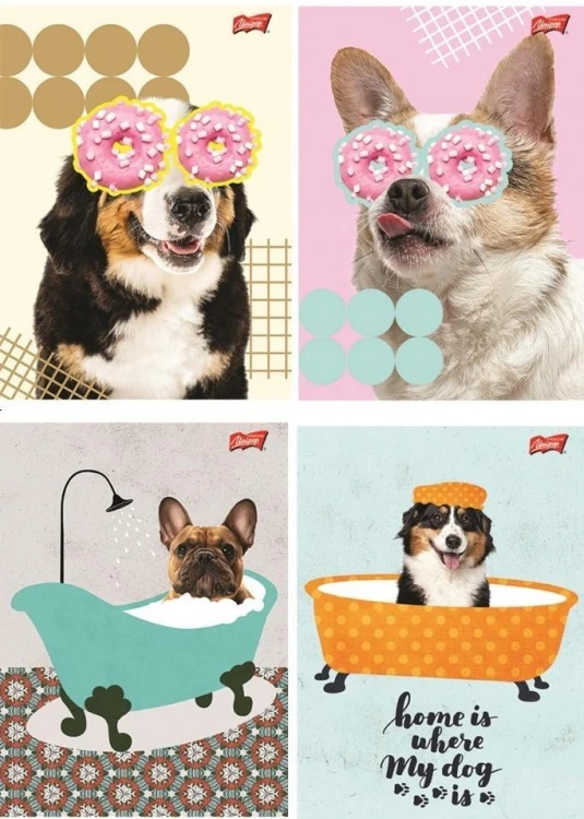 Zeszyt A5/60K linia Funny Dog (10szt), UNIPAP