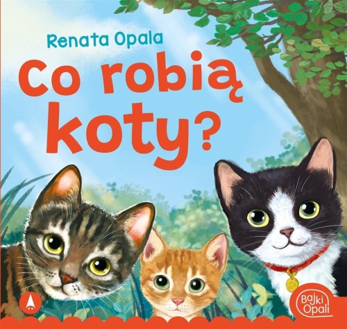 Co robią koty?, Renata Opala