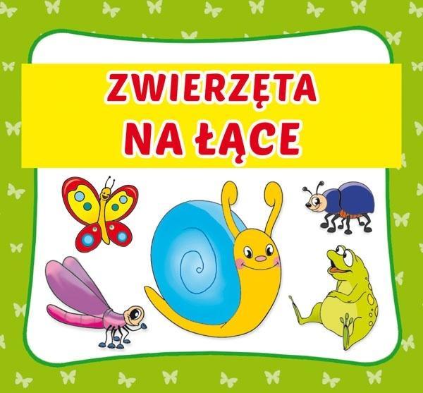 Zwierzęta na łące, praca zbiorowa