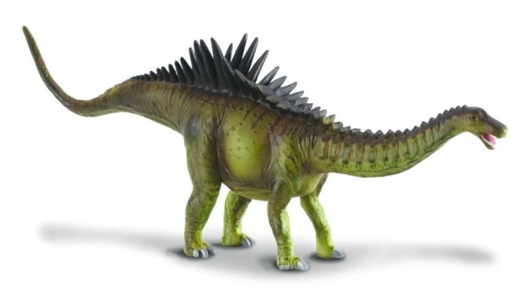 Dinozaur Agustinia, Collecta