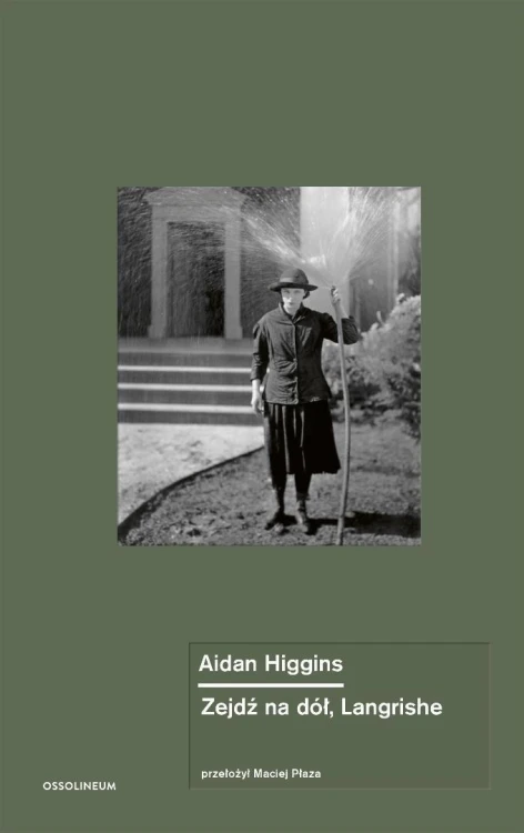 Zejdź na dół, Langrishe, Aidan Higgins