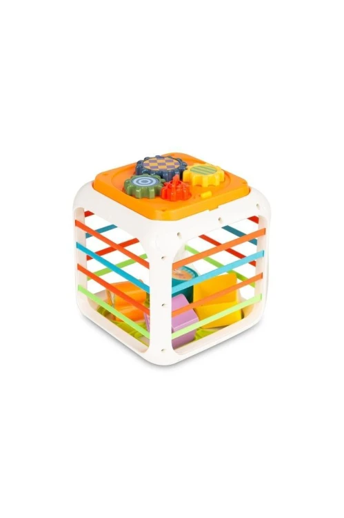Sorter kostka, Toyz