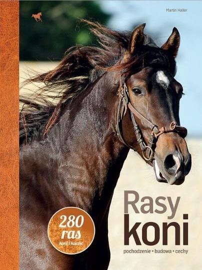 Rasy koni, Martin Haller