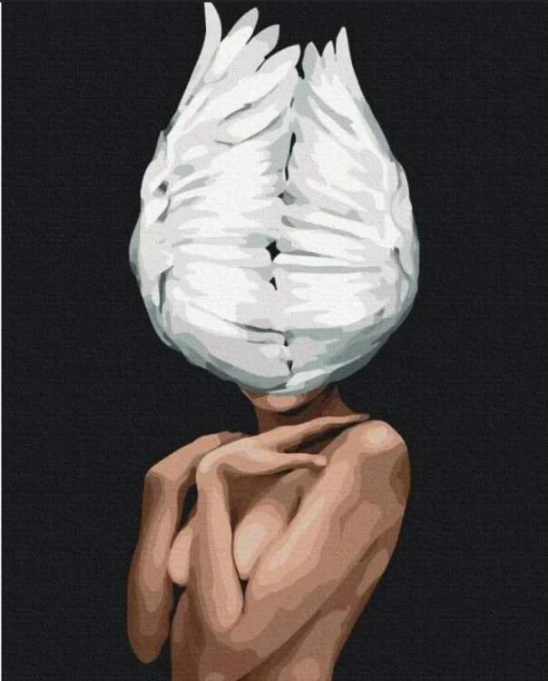 Malowanie po numerach - Pióra w głowie 40x50cm