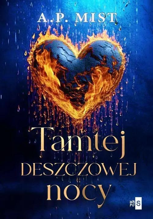 Tamtej deszczowej nocy, A.P. Mist