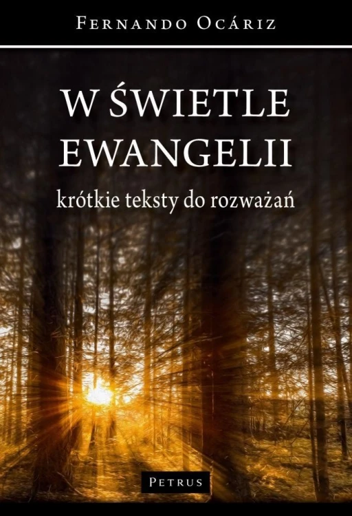 W świetle ewangelii, Fernando Ocriz