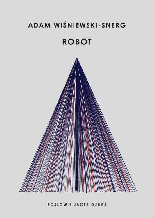 Robot, Adam Wiśniewski-Snerg