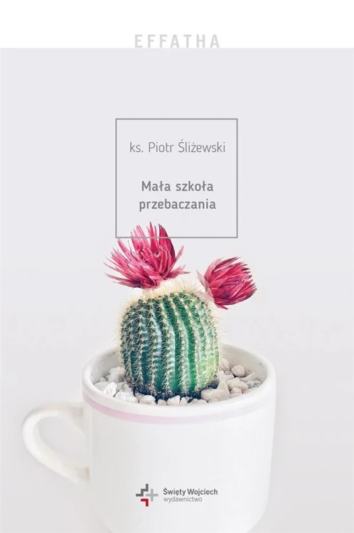 Effatha. Mała szkoła przebaczania, Piotr Śliżewski