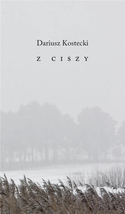 Z ciszy, Dariusz Kostecki