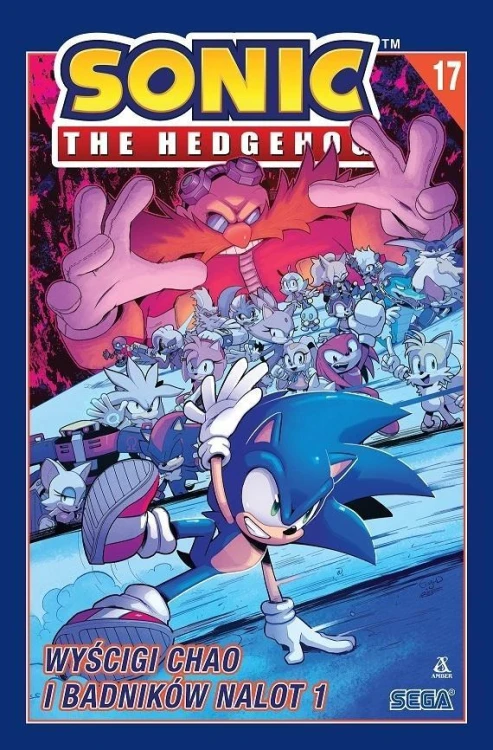 Sonic the Hedgehog 17. Wyścigi Chao i Badników
