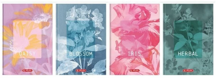 Brulion A5/96K kratka Blossom (5szt) HERLITZ