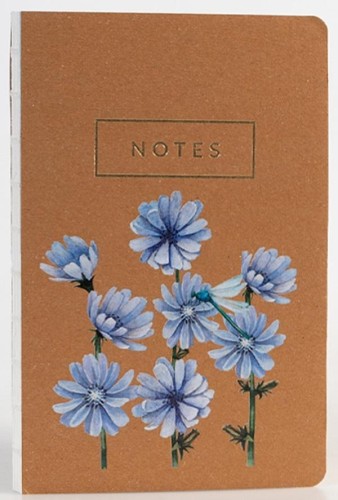 Notes Cykoria, Niezapominajka