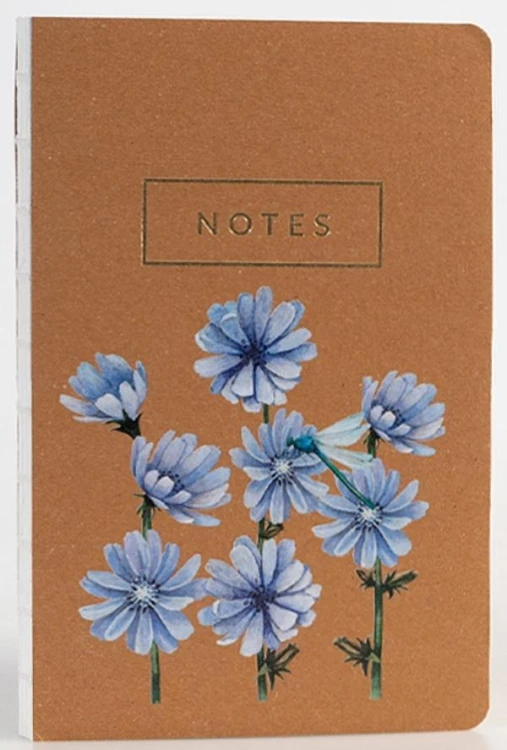 Notes Cykoria, Niezapominajka