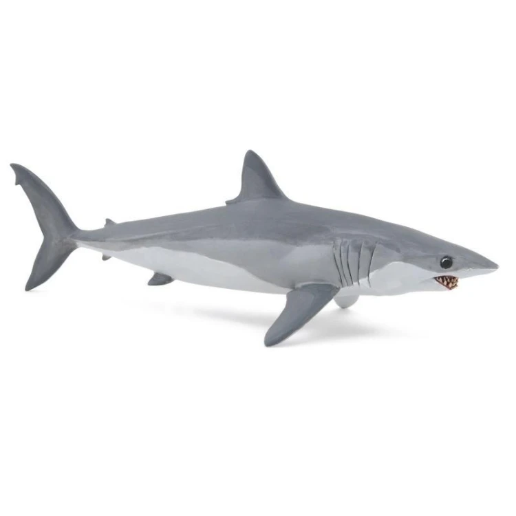 Ostronos atlantycki (rekin mako), PAPO