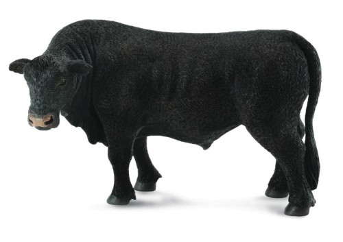 Byk czarny angus, Collecta
