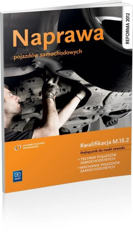 Naprawa pojazdów samochodowych WSiP
