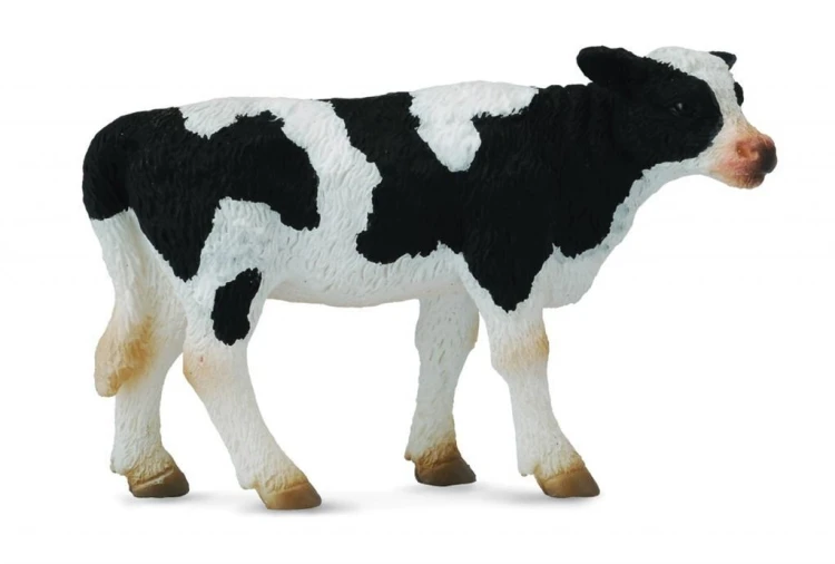 Ciele stojące, Collecta