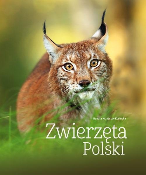 Zwierzęta Polski, Renata Kosińska