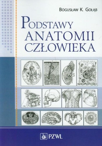 Podstawy anatomii człowieka. Podr. dla studentów
