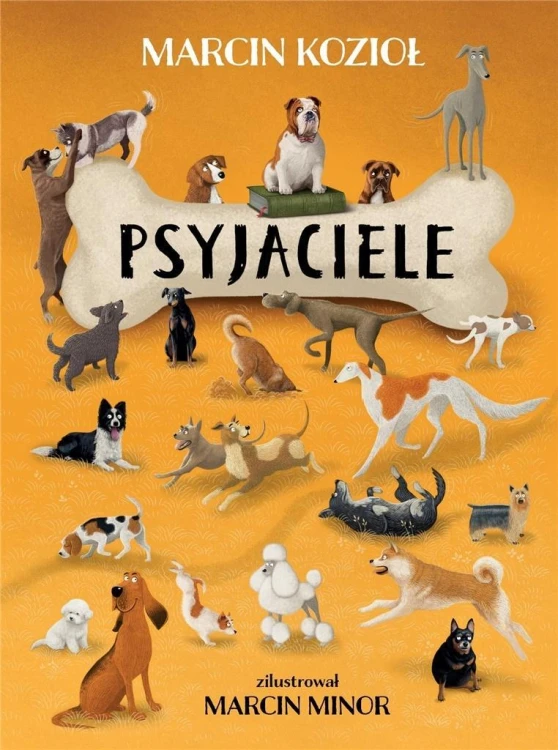 Psyjaciele, Marcin Kozioł