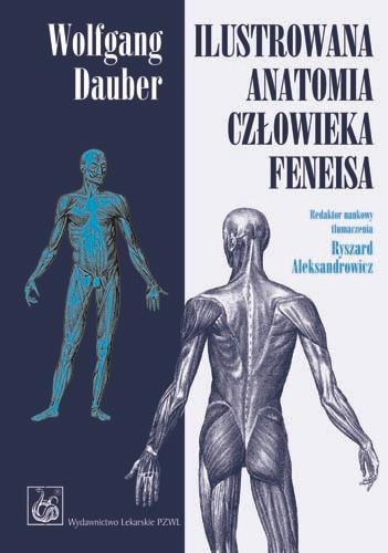 Ilustrowana anatomia człowieka Feneisa  PZWL