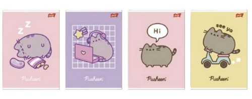 Zeszyt A5/60K kratka laminowany Pusheen (10szt)