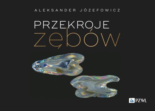 Przekroje zębów, Aleksander Józefowicz