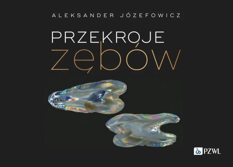Przekroje zębów, Aleksander Józefowicz