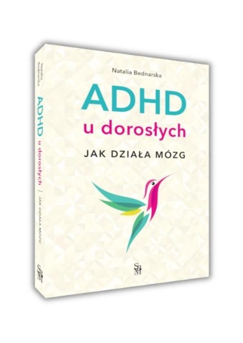 ADHD u dorosłych. Jak działa mózg