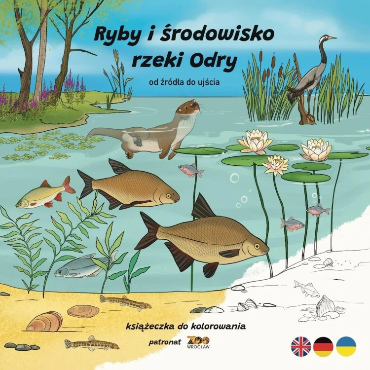 Ryby i środowisko rzeki Odry. Od źródła do ujścia