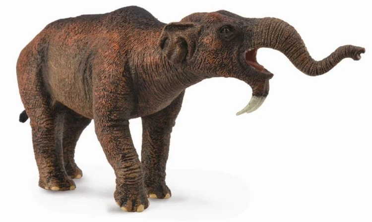 Deinotherium, Collecta