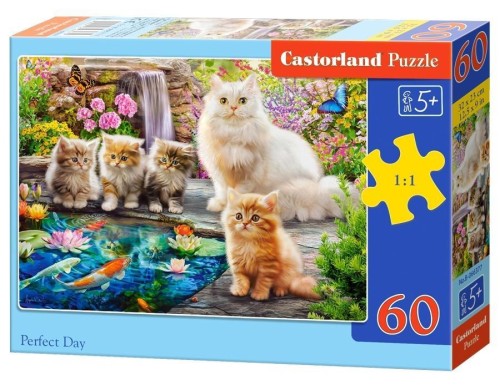 Puzzle 60 Perfect Day CASTOR, Castorland