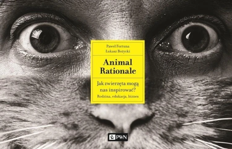 Animal Rationale, Paweł Fortuna, Łukasz Bożycki