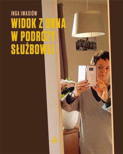 Widok z okna w podróży służbowej, Inga Iwasiów