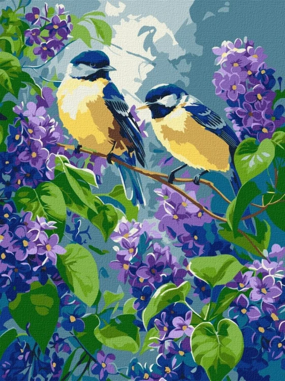 Malowanie po numerach - Wiosenny duet 30x40cm