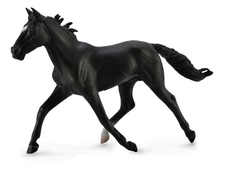Ogier Standardbred Pacer czarny, Collecta