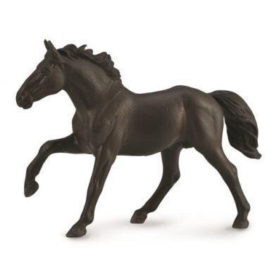 Ogier Nonius, Collecta