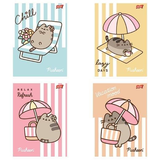 Zeszyt A5/32k linia dwukolorowa Pusheen (15szt)