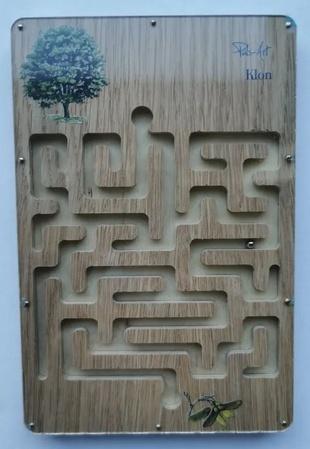 Labirynt przyrodniczy Klon, PULS-ART