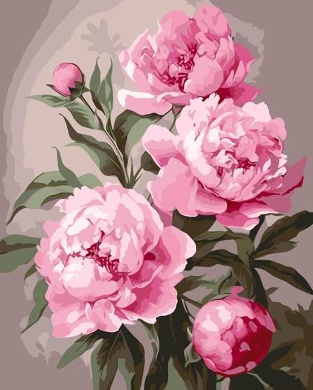 Malowanie po numerach - Piwonia 40x50cm, Qbee