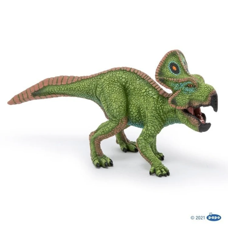 Protoceratops, PAPO