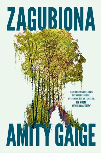 Zagubiona, Amity Gaige