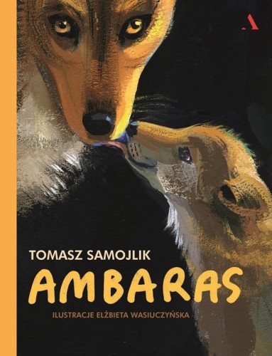 Ambaras, Tomasz Samojlik, Elżbieta Wasiuczyńska