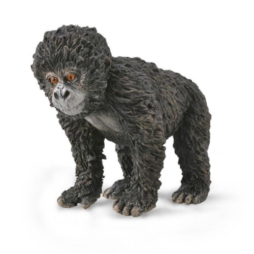 Młode goryla górskiego, Collecta