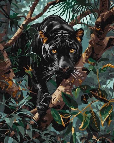 Malowanie po numerach - Pantera 40x50cm, Ideyka